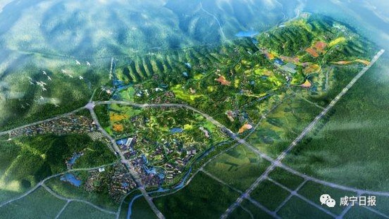 中医理疗：传统智慧为现代健康护航